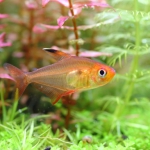 飼育410日目